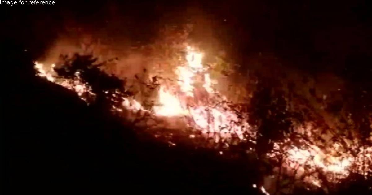 Fire rages in forest area of Uttarakhand's Tehri Garhwal